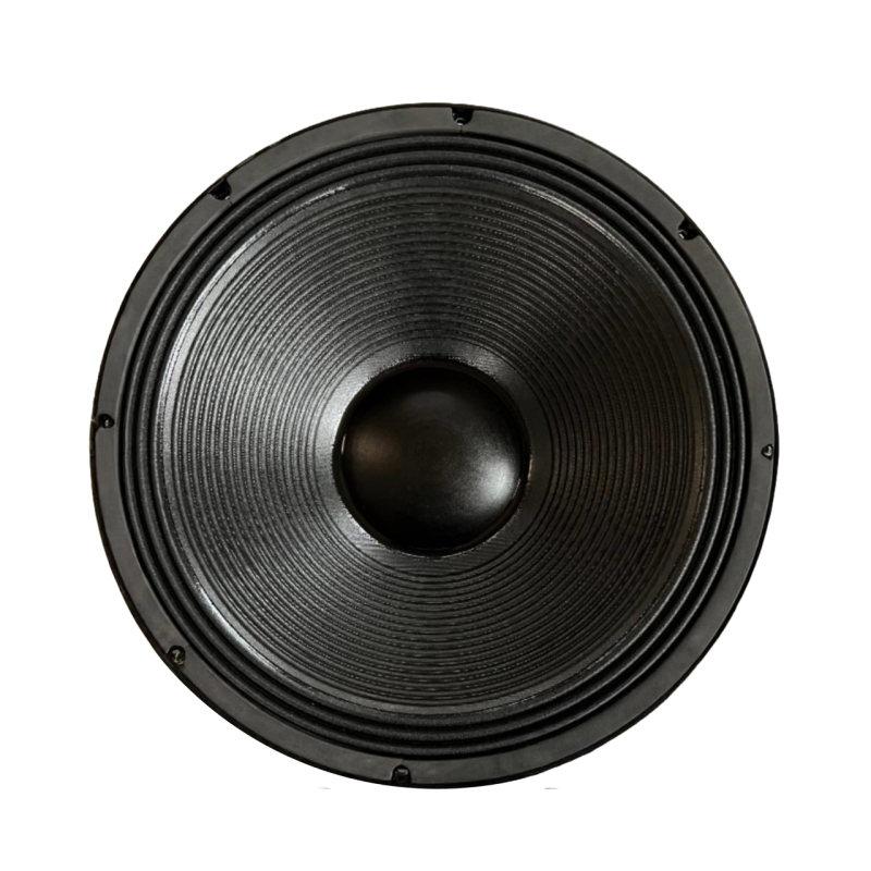 Altavoz SUBWOOFER SW-C-18-08-100-02-01